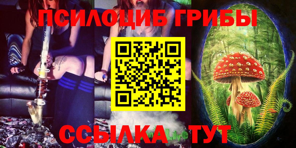 Татарск  Галлюциногенные грибы Psilocybe  Вход с VPN 